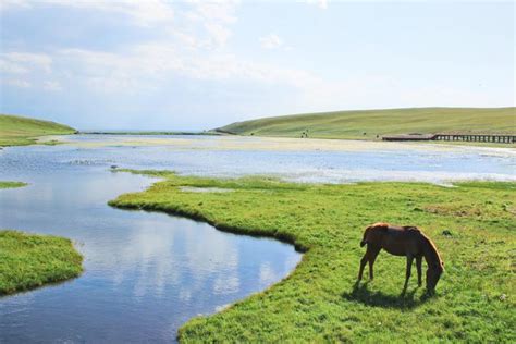 新疆巴音郭楞蒙古自治州和静县巴音布鲁克草原美景-草原元素---蒙古元素 Mongolia Elements