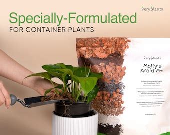 Soil - Etsy India