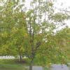 Define the term solubility . how dose it change on the increasing the ...