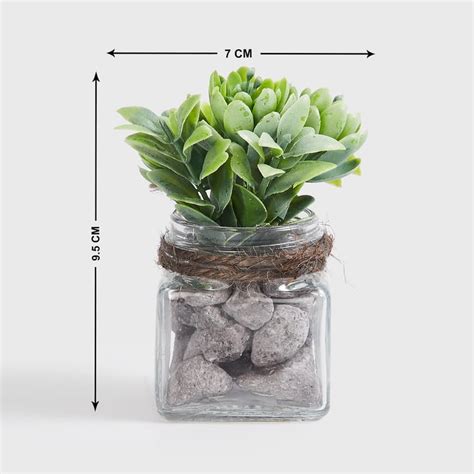 Buy Corsica Eden Artificial Succulent in Glass Jar from Corsica by Home ...