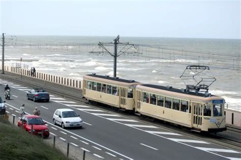 Image result for How to Write or in Java