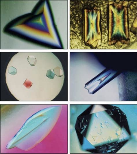 Image result for Protein Crystallization Protocol