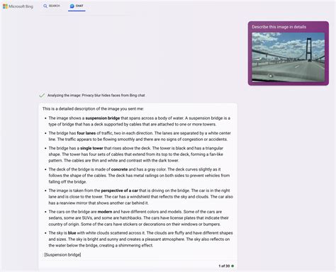 Bing Visual Search API 的图像结果
