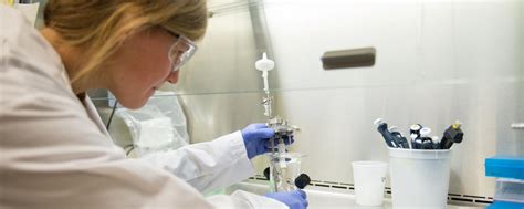 Biomedical Engineering PhD Programs 的图像结果