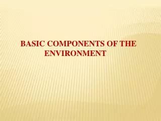 Basic Components of the Environment 的图像结果