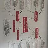 Oswaal CBSE Question Bank Class 10 Social Science Book Chapterwise ...