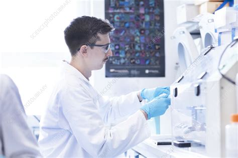 Scientist 的图像结果