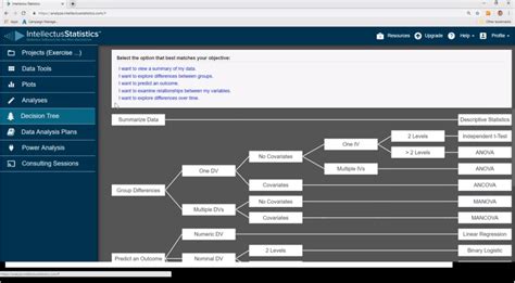 Image result for Intellectus Statistics