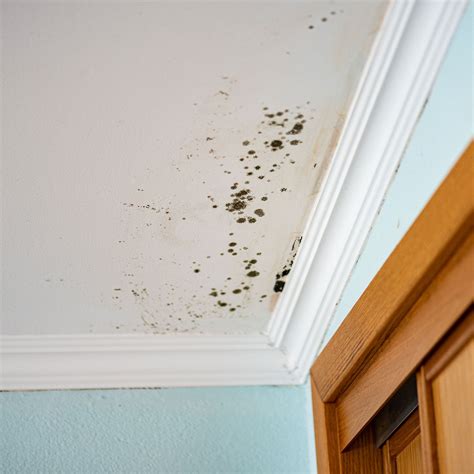 Mould or condensation marks - how to tell the difference | Ideal Home