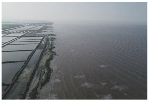Emerging Downdrift Erosion by Twin Long-Range Jetties on an Open ...