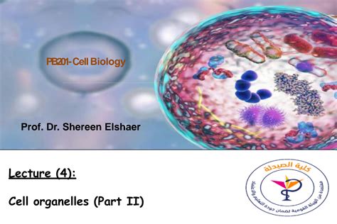 Image result for Cell Biology Lecture