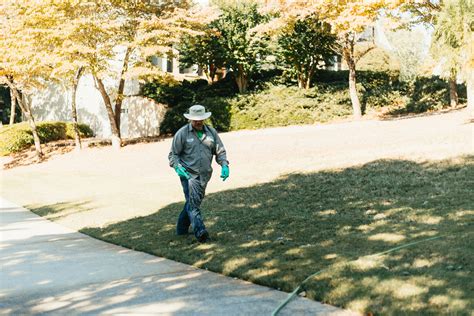 Reclaim Your Lawn from Weeds: Effective Weed Killer Services in Athens ...