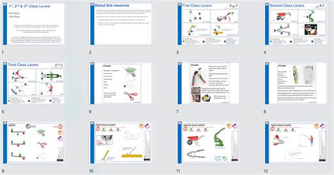 Image result for Types of Levers