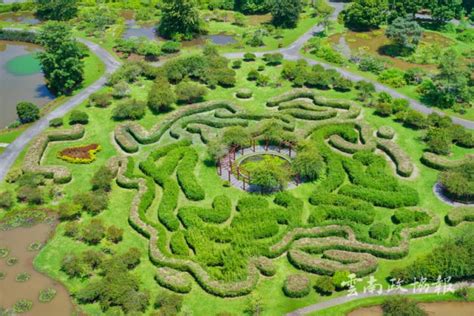 中科院西双版纳热带植物园，夏日灿烂星河萤火之旅_人们