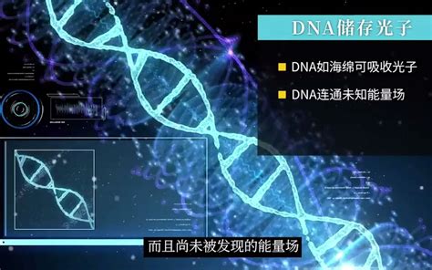 一种被忽视的神秘力量，是维持DNA结构的关键？