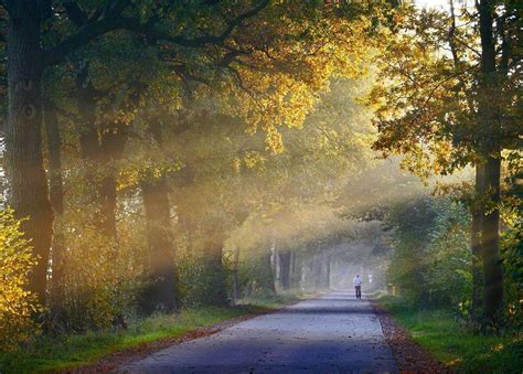 5 Morning Rituals To Make Each Day Happier and More Productive