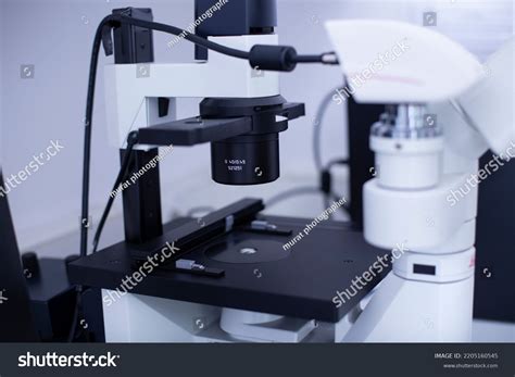 Fluorescence Microscope 的图像结果