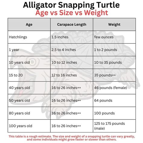 Snapping Turtle Age Chart 的图像结果