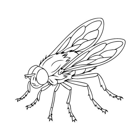 Fly clipart Images - Free Download on Freepik