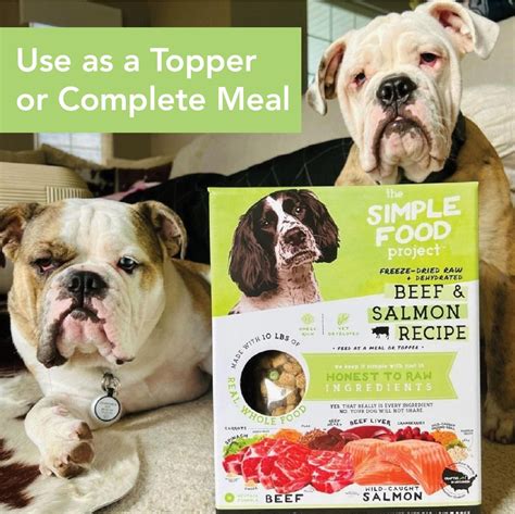 SIMPLE FOOD PROJECT 6-Pack Sample Bundle Freeze-Dried Dog Food, 6-oz ...