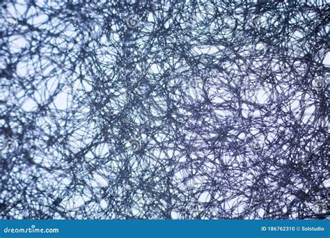 Paper under a microscope stock photo. Image of cellulose - 186762310