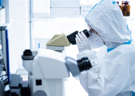 Image result for Mold Testing Santa Barbara