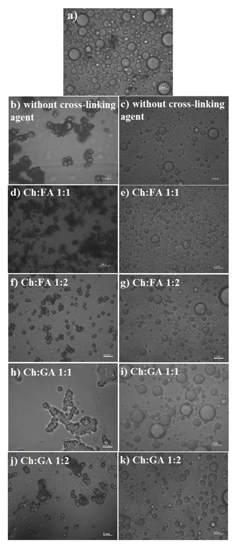 Chitosan/Sodium Dodecyl Sulfate Complexes for Microencapsulation of ...