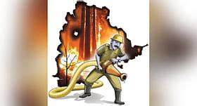 15.7K km fire lines to combat wildfires this season in Odisha ...