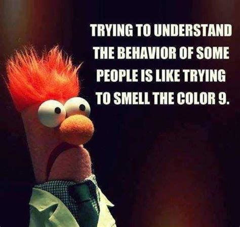 Image result for Smelling Error Meme