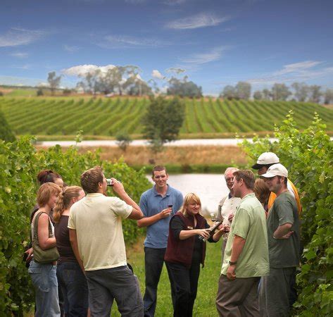Great trip to Yarra Valley & the vineyards - Reviews, Photos ...