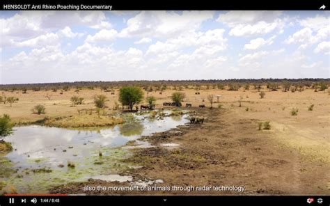 Image result for Computer Vision Wildlife