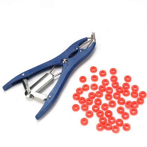 Buy Pig Castration Pliers, Plastic Metal Cattle Tail Docking Bloodless ...