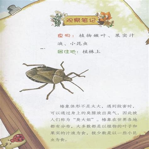 昆虫记小故事50字左右,昆虫记内容简介50字,小昆虫的作文50字_大山谷图库