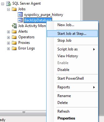 Image result for SQL Server How to Execute a Job