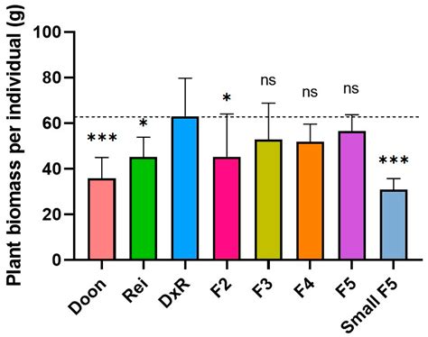 Hybrid Vigour and Hybrid Mimics in Japonica Rice