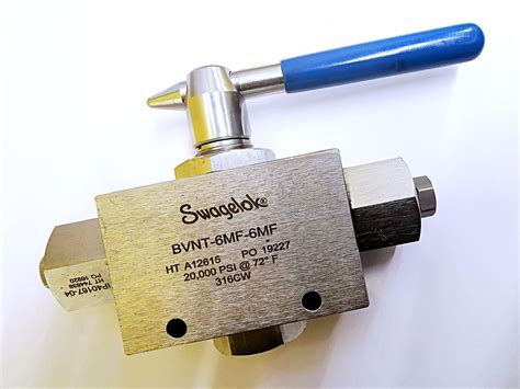 Swagelok Bvnt 6mf 6mf 316 Cw 20 000 Psi Medium | Desertcart INDIA