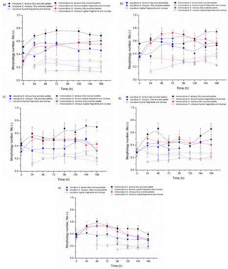 Quantitative Morphological Analysis of Filamentous Microorganisms in ...
