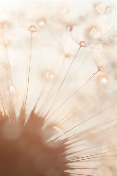 bokeh 的图像结果