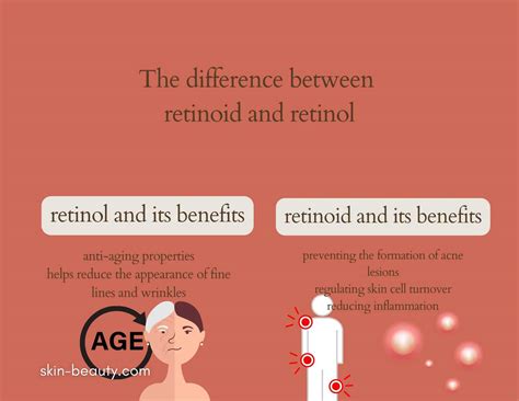 Retinol Vs. Retinoid: What They Are And How To Use Them - AKFKZE