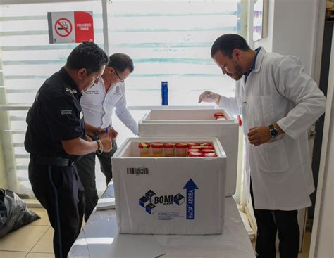 REALIZAN ESTA MAÑANA ANTIDOPING SORPRESA A POLICÍAS MUNICIPALES DE ...