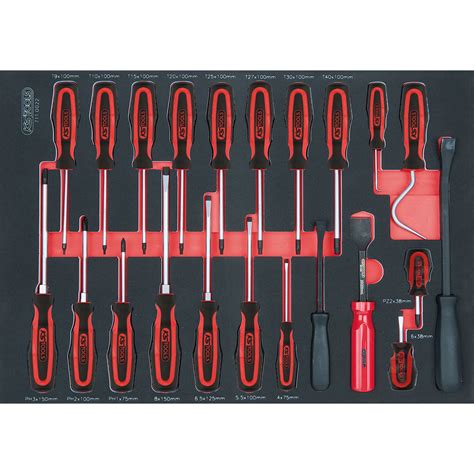 SCS screwdriver and hook set, 22 pcs, 1/1 system insert | 1/1 SCS ...