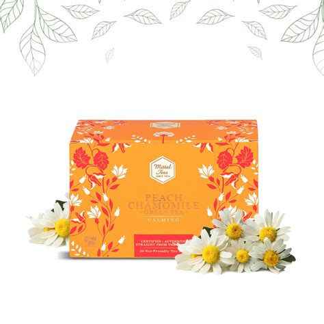 Mittal Teas, Green Tea | 20 Eco-Friendly Pyramid Tea Bags | All Natural ...