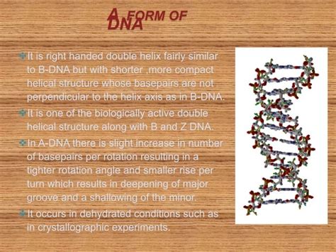 Different Forms of DNA 的图像结果