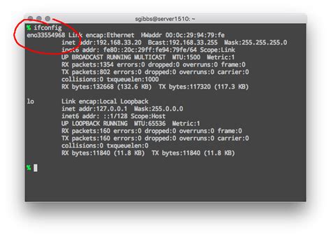 Image result for Predictable Network Interface Names
