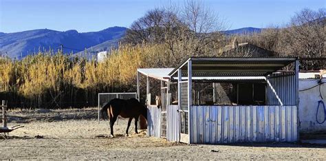 Image result for Examples of Pair Development