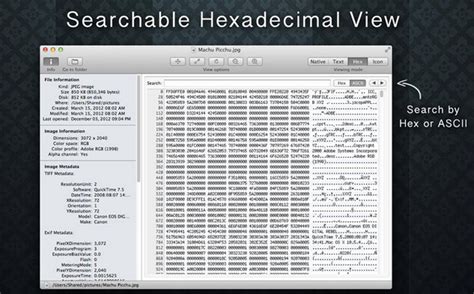 Image result for What Is a Cool File Viewer