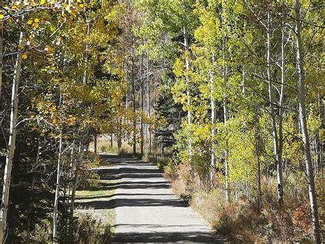 Terrerro - Pecos Canyon State Park - Pictures, Features & Amenities ...