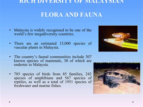chapter 1 bio460 biological diversity uitm | PDF