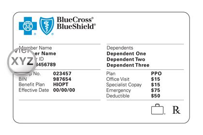 Blue Cross and Blue Shield Member Login - BCBS Login | bcbs.com | Blue ...
