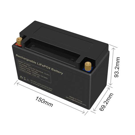 Buy TalentCell Rechargeable 12V Lithium Iron Phosphate (LiFePO4 ...